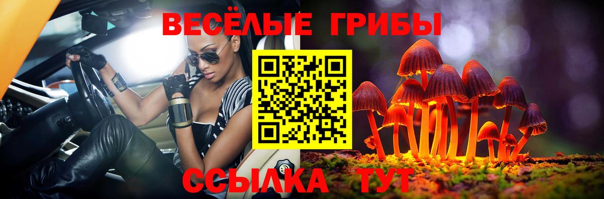 Галлюциногенные грибы MAGIC MUSHROOMS Бутурлиновка
